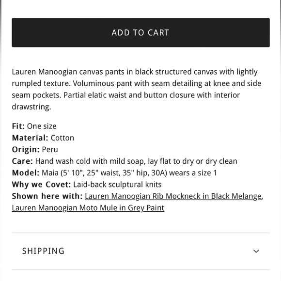 Lauren Monoogian Canvas Pants in Black - Picture 5 of 6